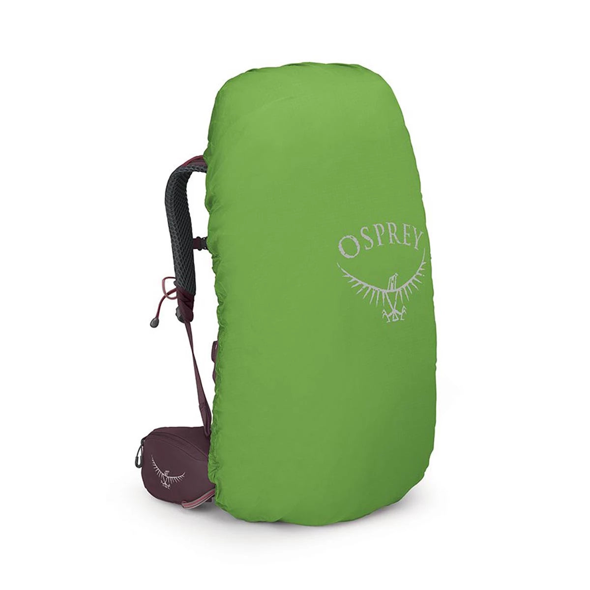 Osprey Σακίδιο Πλάτης Kyte 48 Elderberry Purple (10004785)