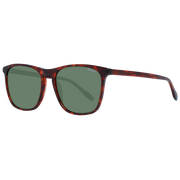 Hackett Sunglasses HSK3335 123 55