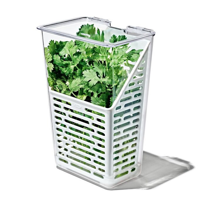 OXO Δοχείο Συντήρησης Μυρωδικών Herb Keeper (11387800)